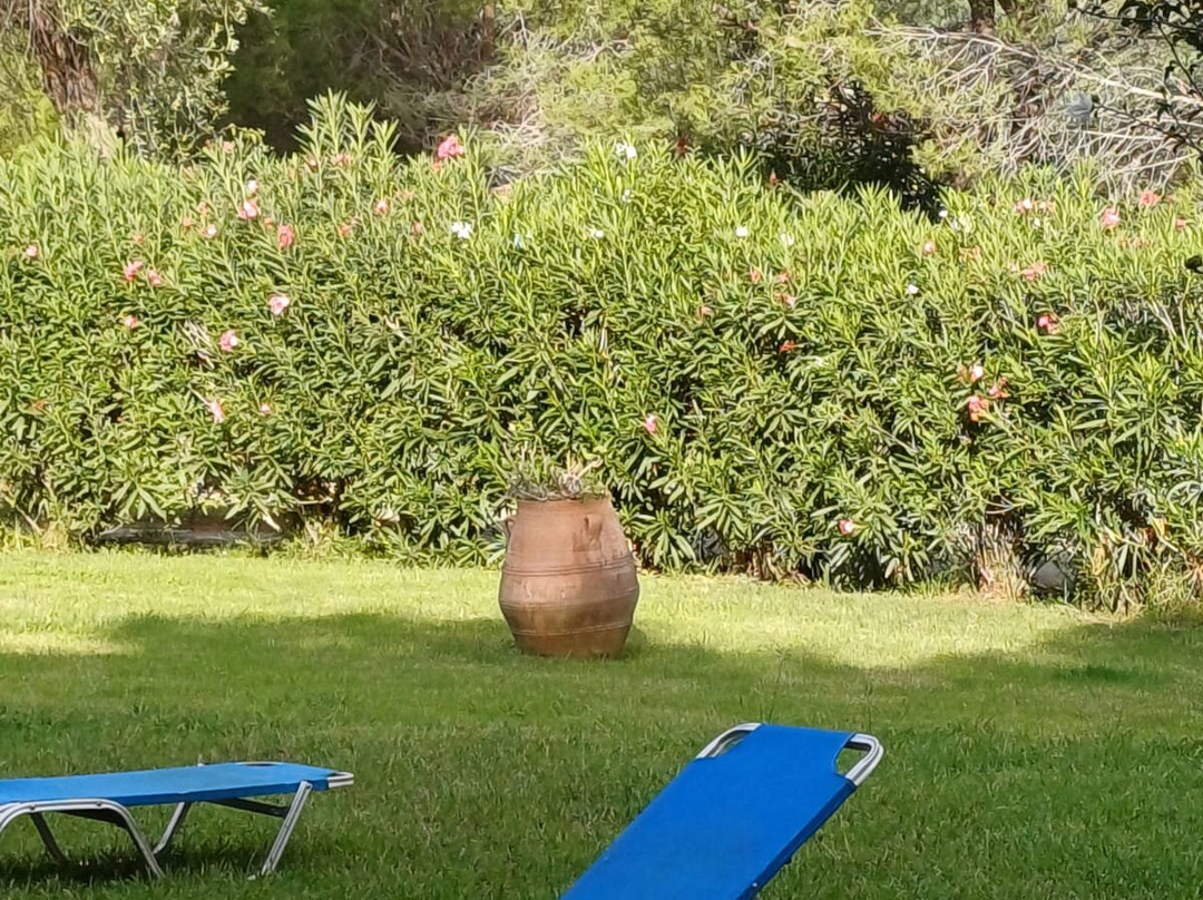 Sentido Apollo Palace主图