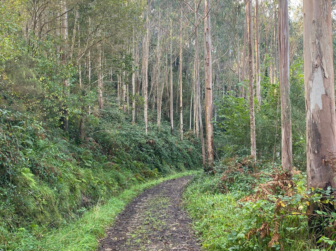 Fervenza Do Escouridal-Alfoz必去景点