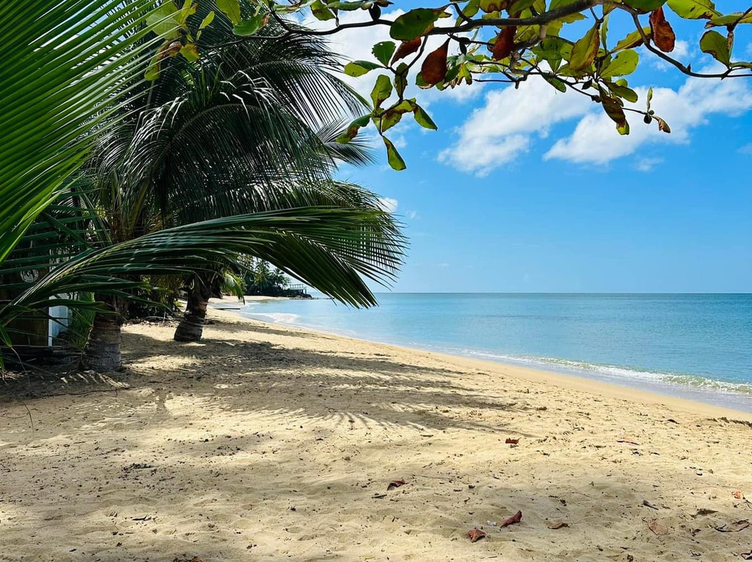 Rincon Waves Hydroflights-吕康必去景点