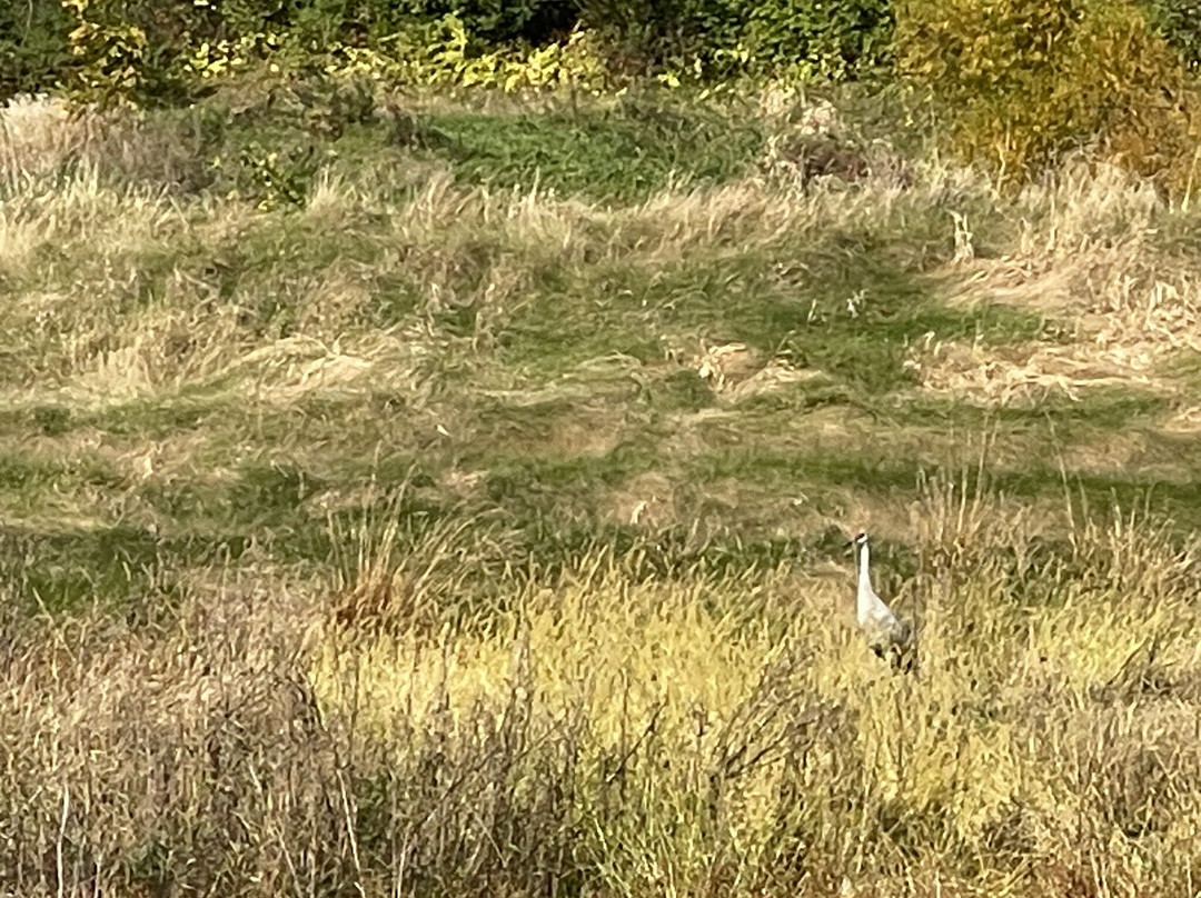 Country Inn & Suites by Radisson, Madison Southwest, WI主图