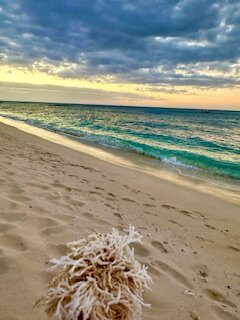 亚萨瓦岛度假村主图