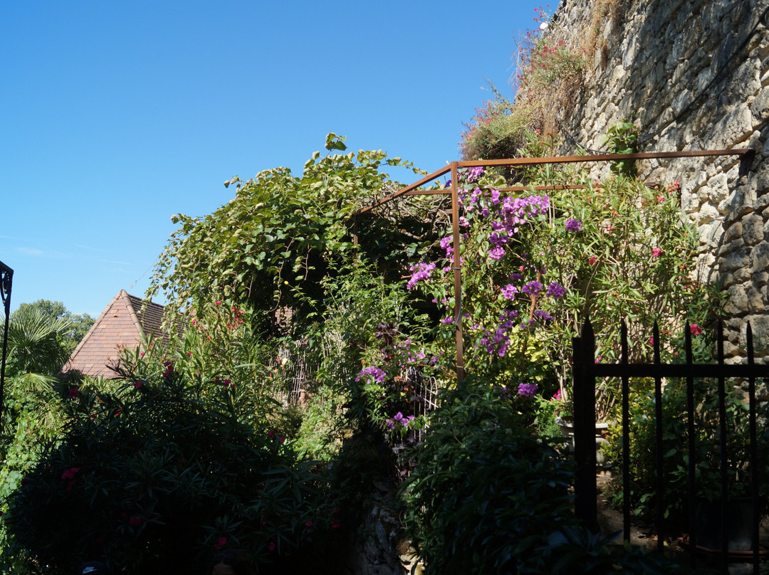 Jardin Exotique景点图片