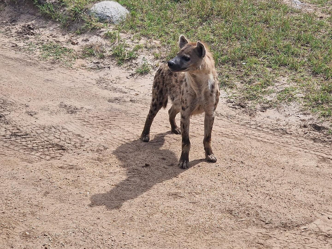 Endasing Adventures-卡拉图必去景点