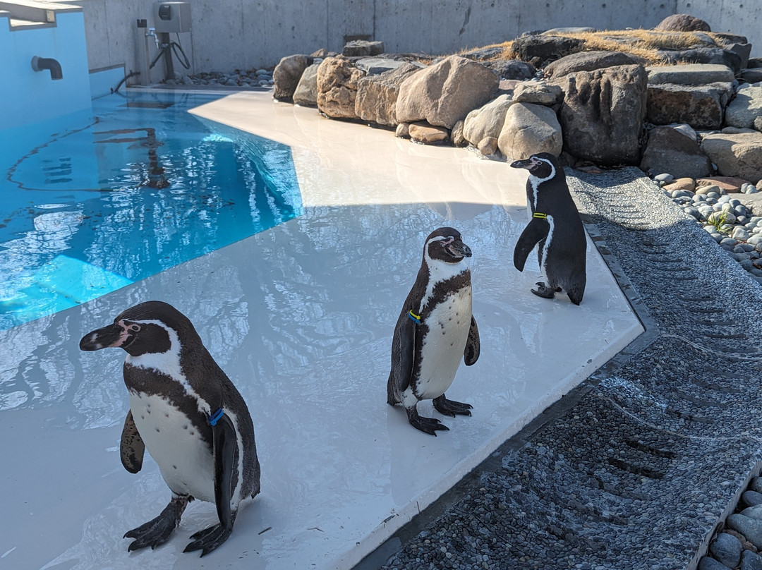 Komoro City Zoo-小诸市必去景点