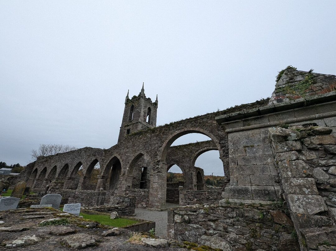 Baltinglass Abbey-Wicklow必去景点