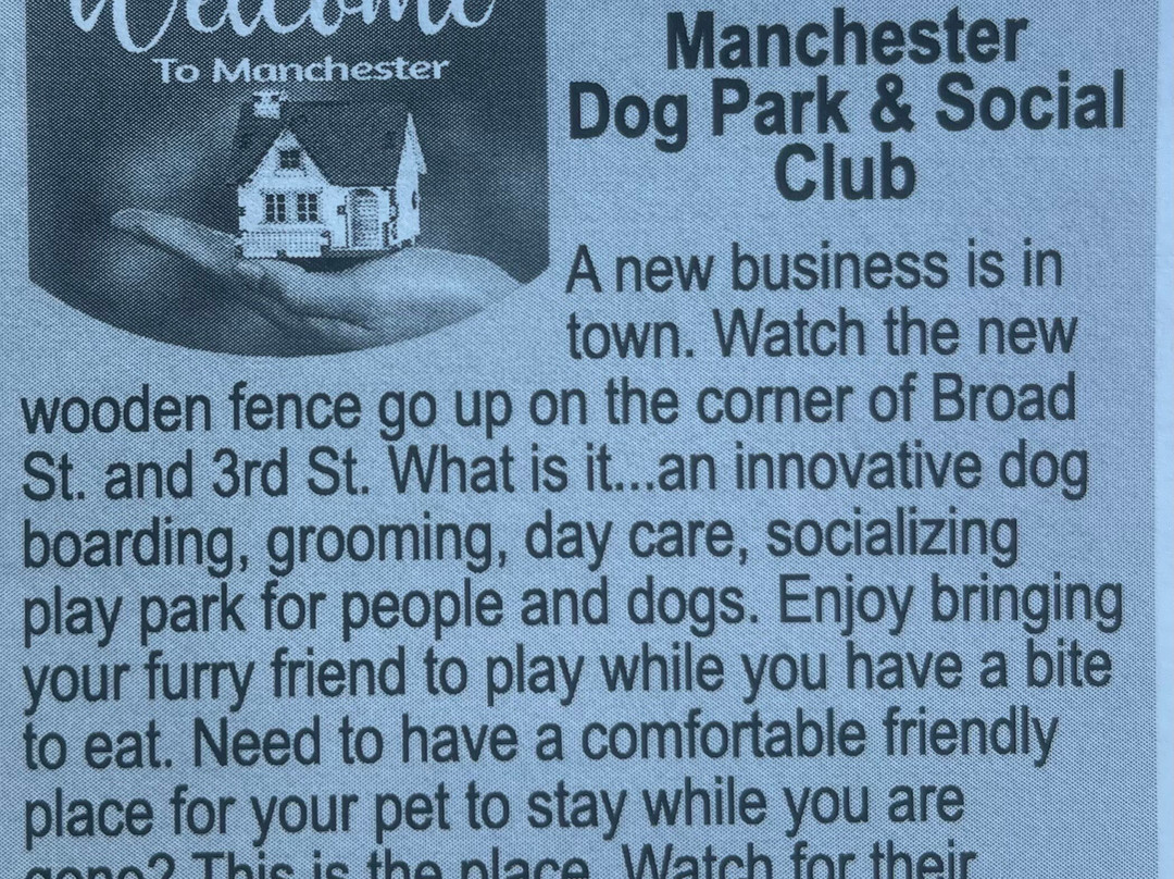 Manchester Dog Park & Social Club景点图片