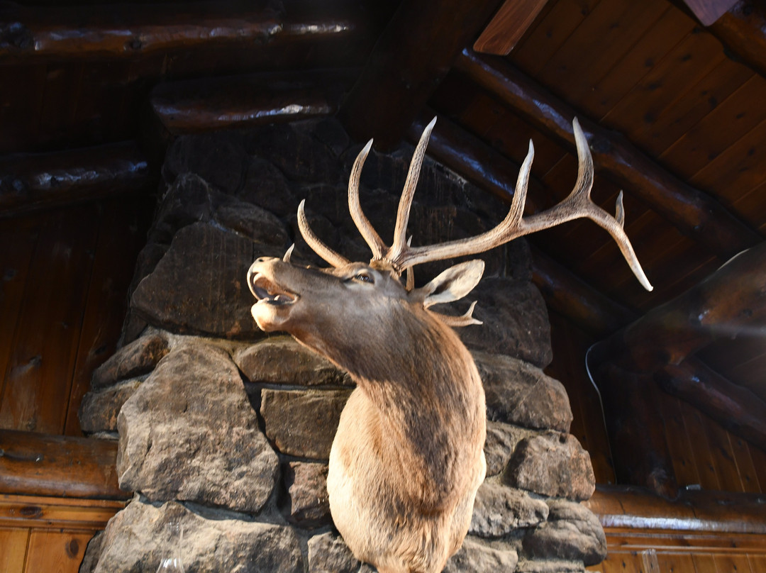 Custer State Park Wildlife Station Visitor Center-Hermosa必去景点