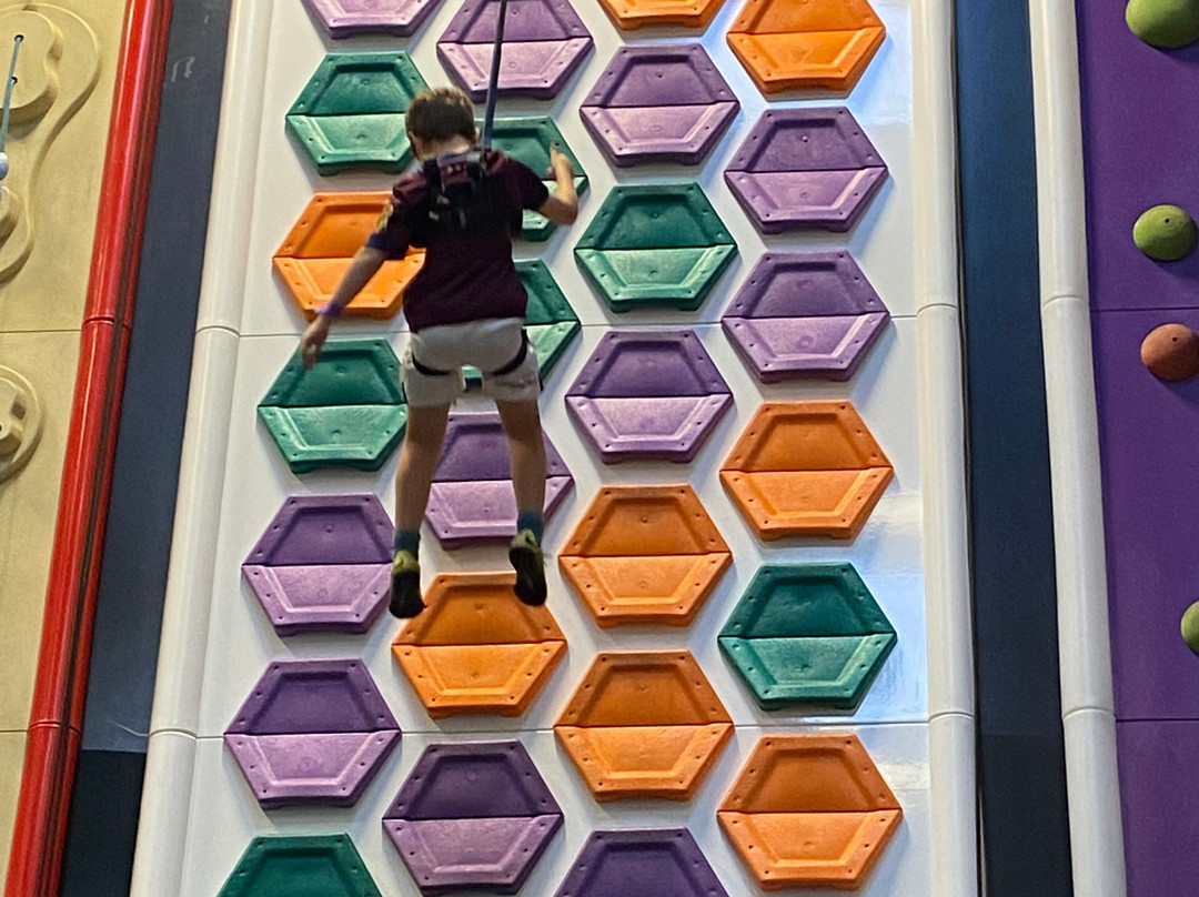 Clip 'n Climb Ipswich景点图片