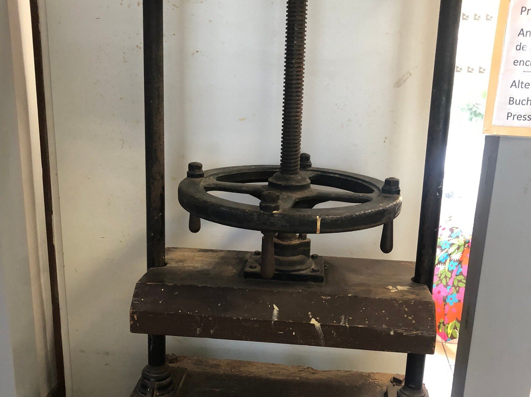 Schoelcher Library-法兰西堡必去景点