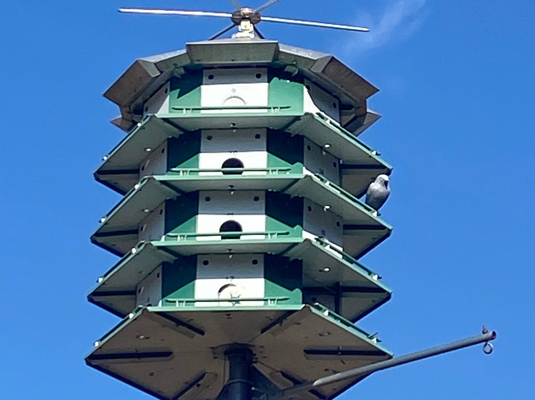 Quarry Hill Nature Center-罗切斯特必去景点