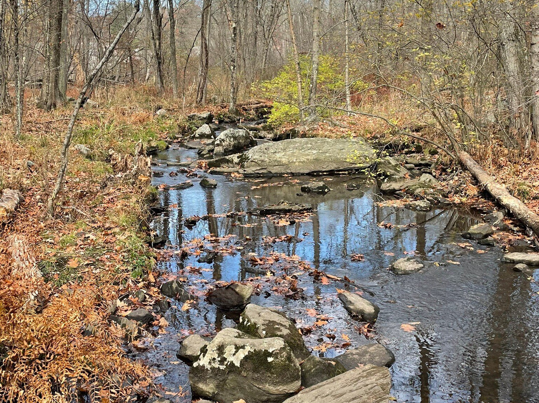 Broad Meadow Brook Conservation Center & Wildlife Sanctuary-伍斯特必去景点