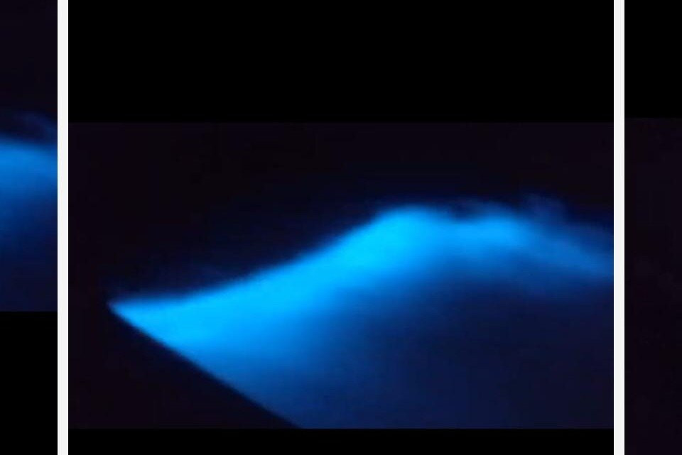 Unique Experiences CR-Isla Cedros必去景点