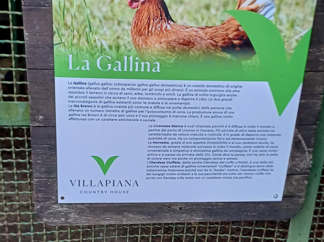 Villapiana Country House - Spa景点图片
