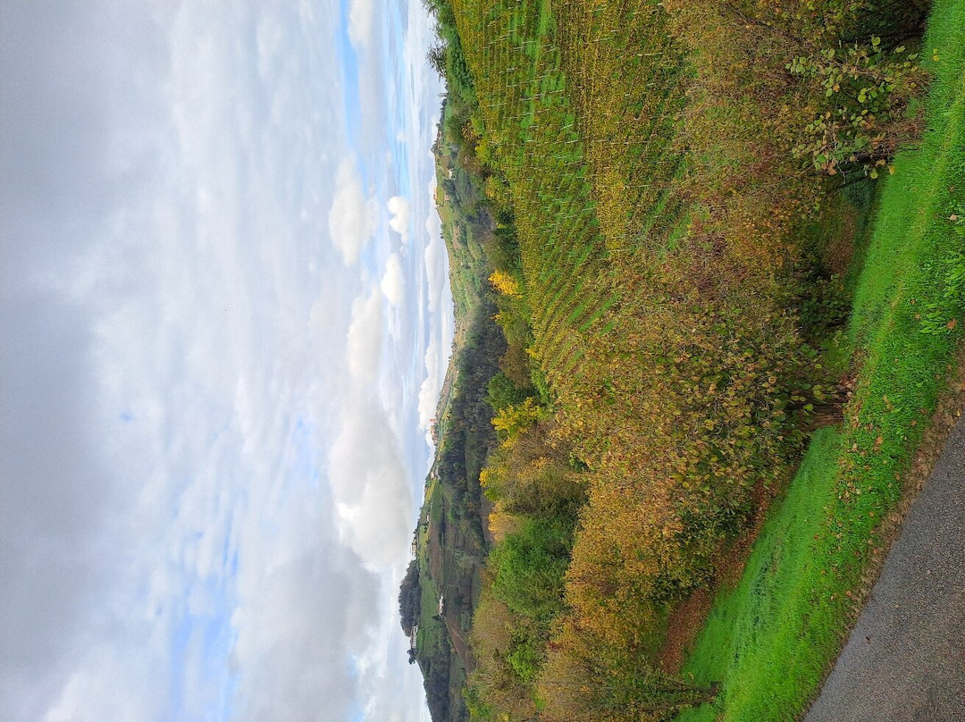Tojo Winery景点图片