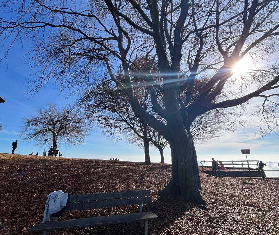 Santuario di San Bernardo-Bione必去景点