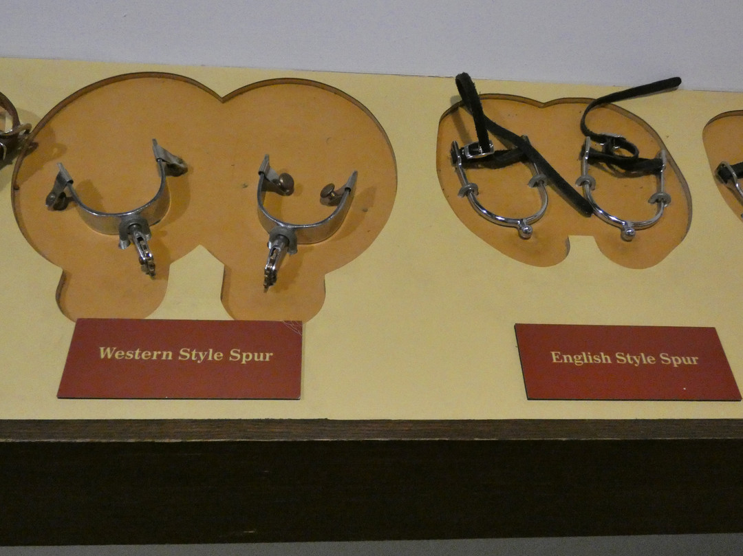 American Quarter Horse Hall of Fame & Museum-阿马里洛必去景点