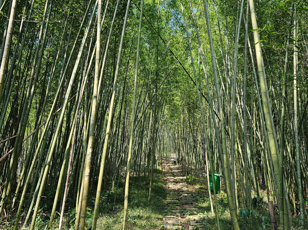 Cao Bằng Easy Deeping Tours景点图片