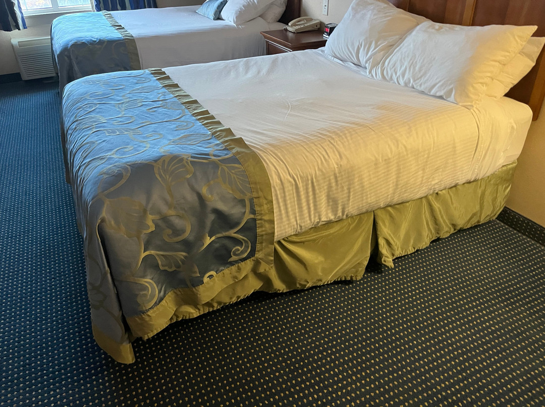 Wingate by Wyndham Ellicottville主图