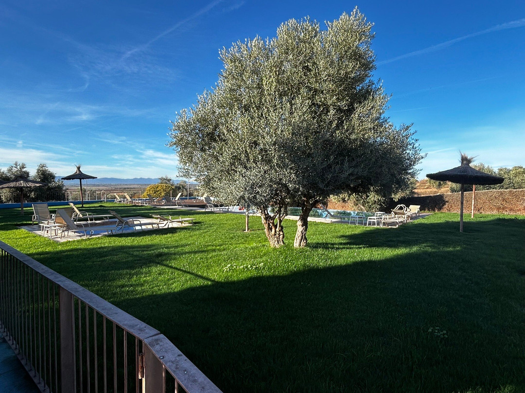 El Hotel Villa Nazules主图