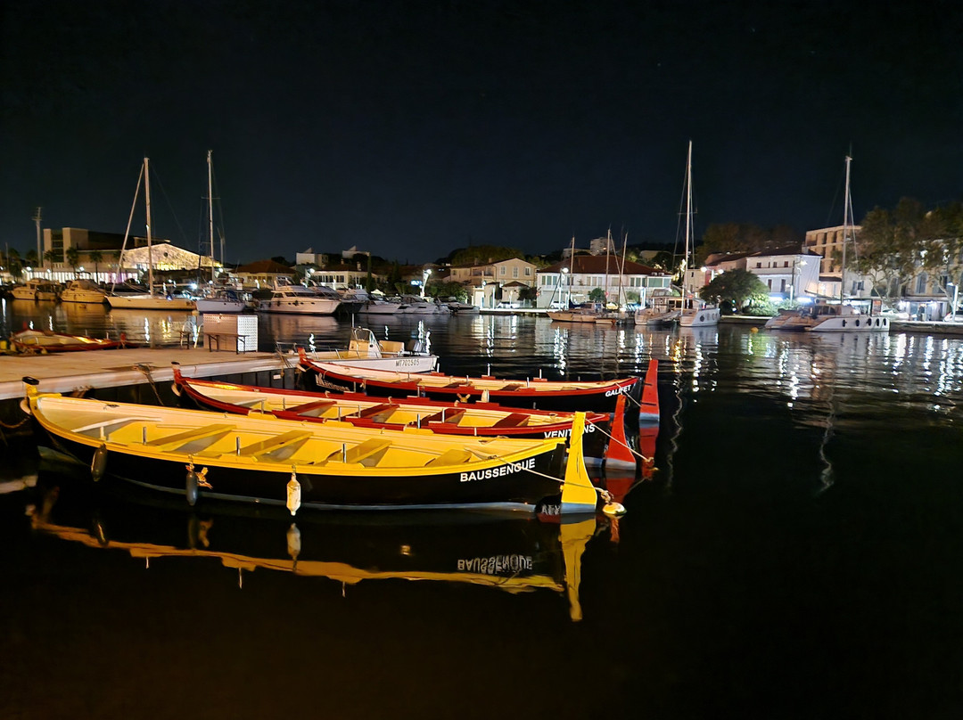 La Venise Provencale景点图片