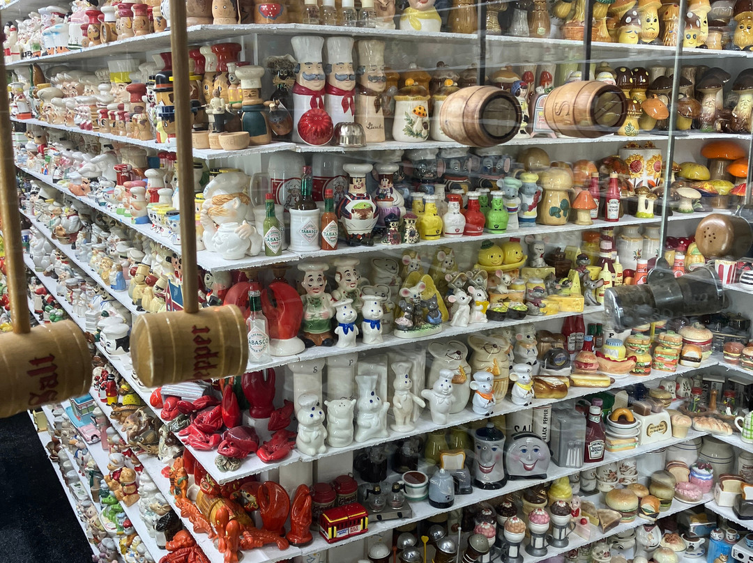 Salt And Pepper Shaker Museum-盖林柏格必去景点