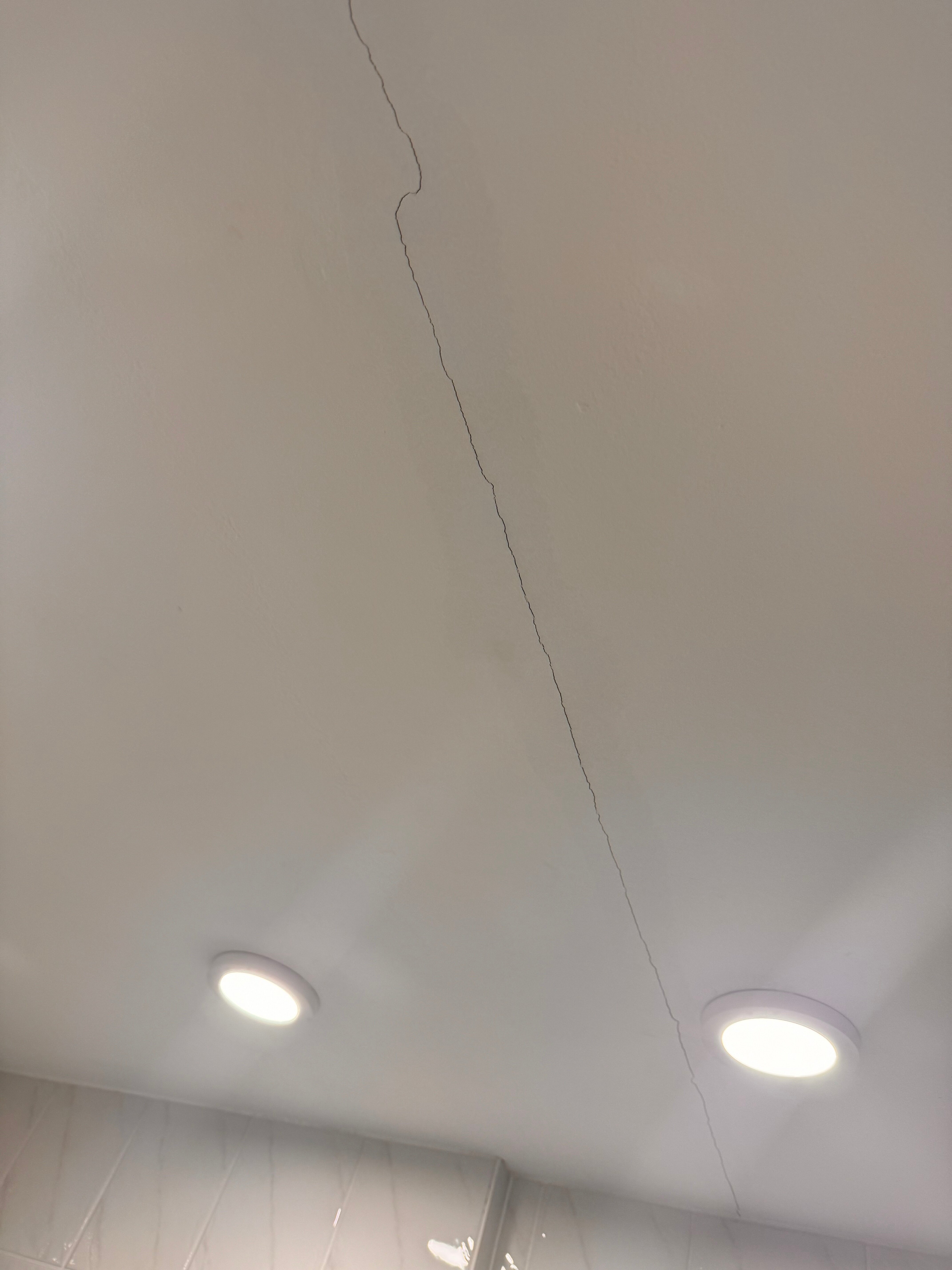 哈根美居酒店-客卧