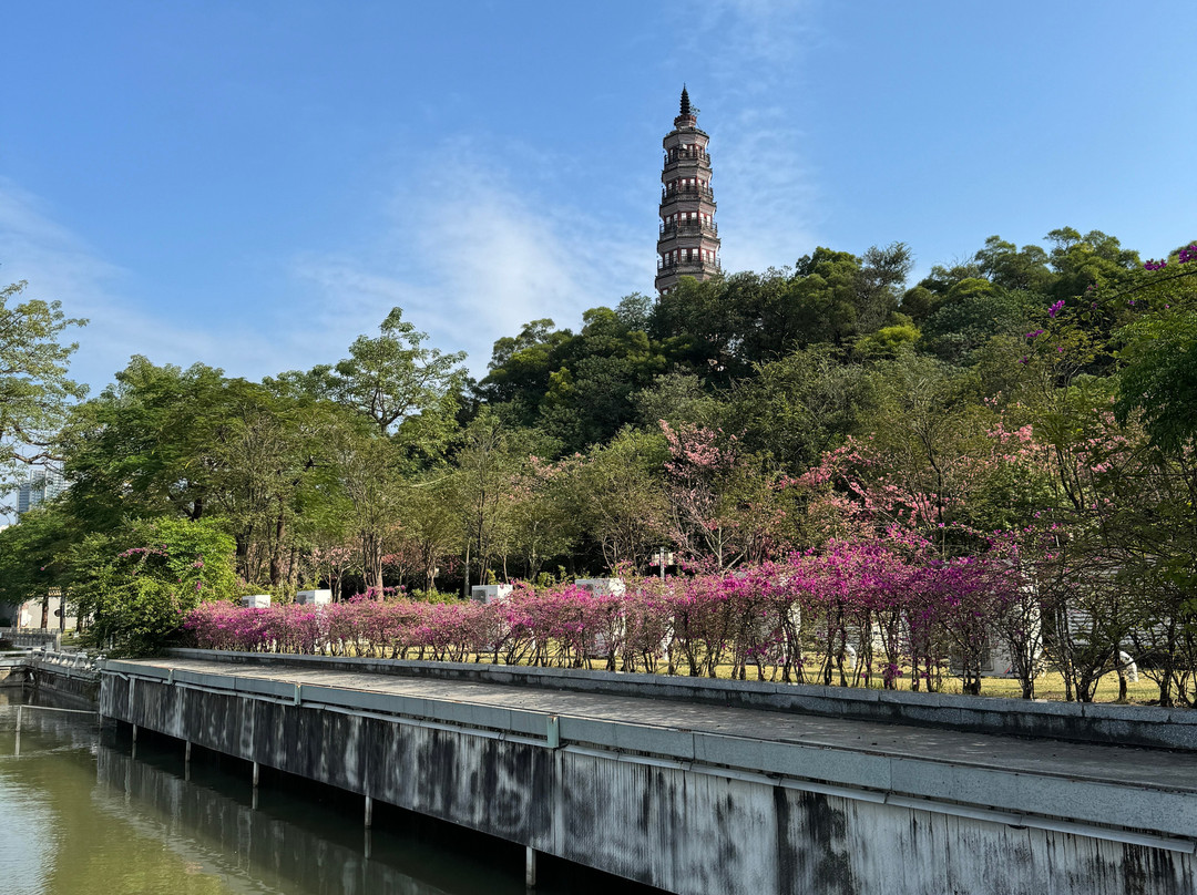 顺峰山公园-佛山市必去景点