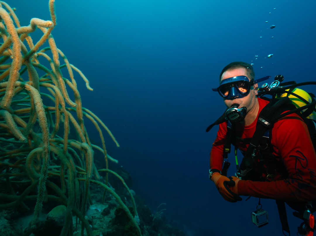 Nautilus Diving & Snorkeling Tours Aruba-萨瓦内塔必去景点