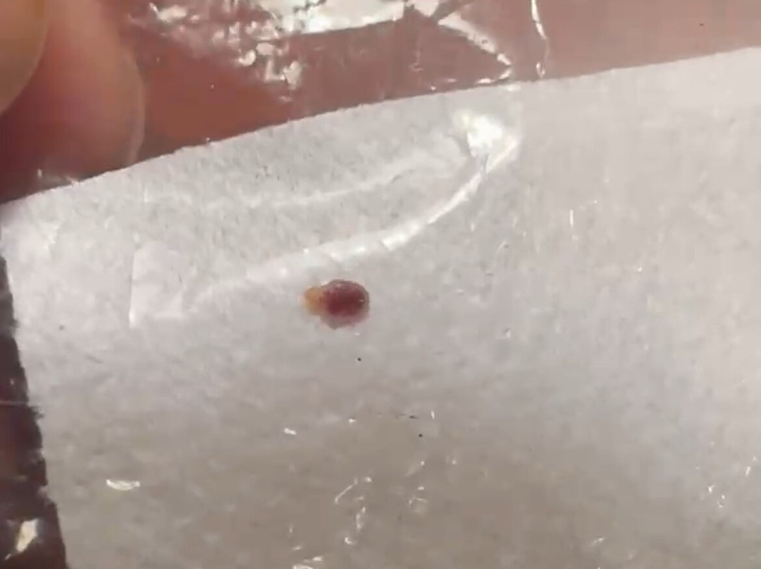 萨默塞特汉普顿酒店主图