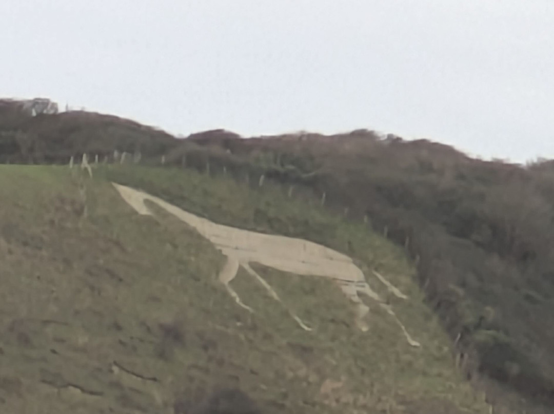 Litlington White Horse景点图片