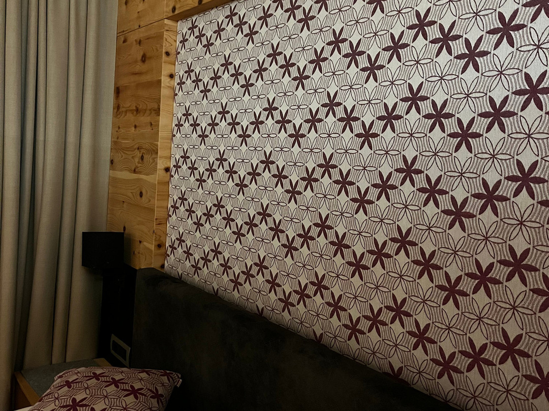 Cityhotel Goldener Adler B&B主图