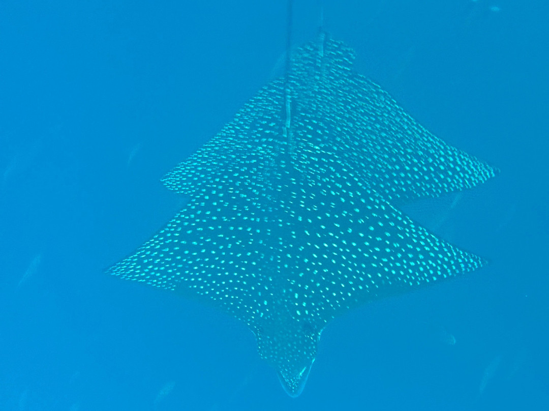 Islanders Galapagos Tour Agency and Operator-Puerto Baquerizo Moreno必去景点