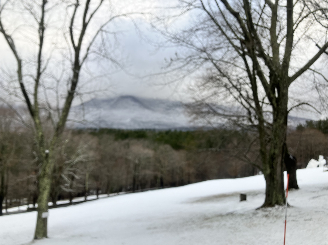 威尔伯顿旅馆主图