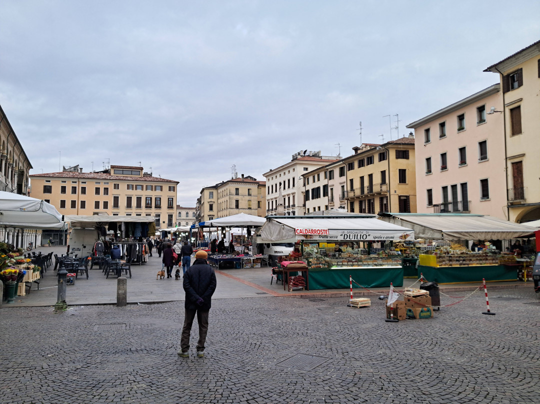 Piazza della Frutta-帕多瓦必去景点