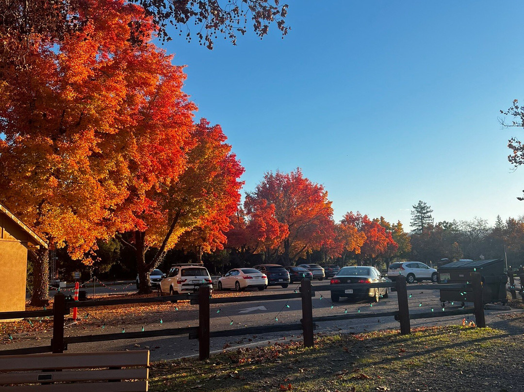 猫溪小径-圣何塞必去景点