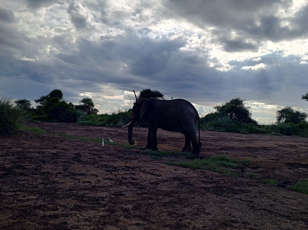 Elara luxury Safaris-蒙巴萨必去景点