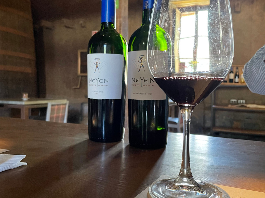 Viña Neyen de Apalta-圣克鲁斯必去景点
