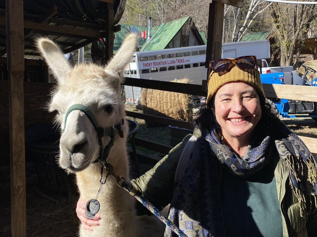 Smoky Mountain Llama Treks景点图片