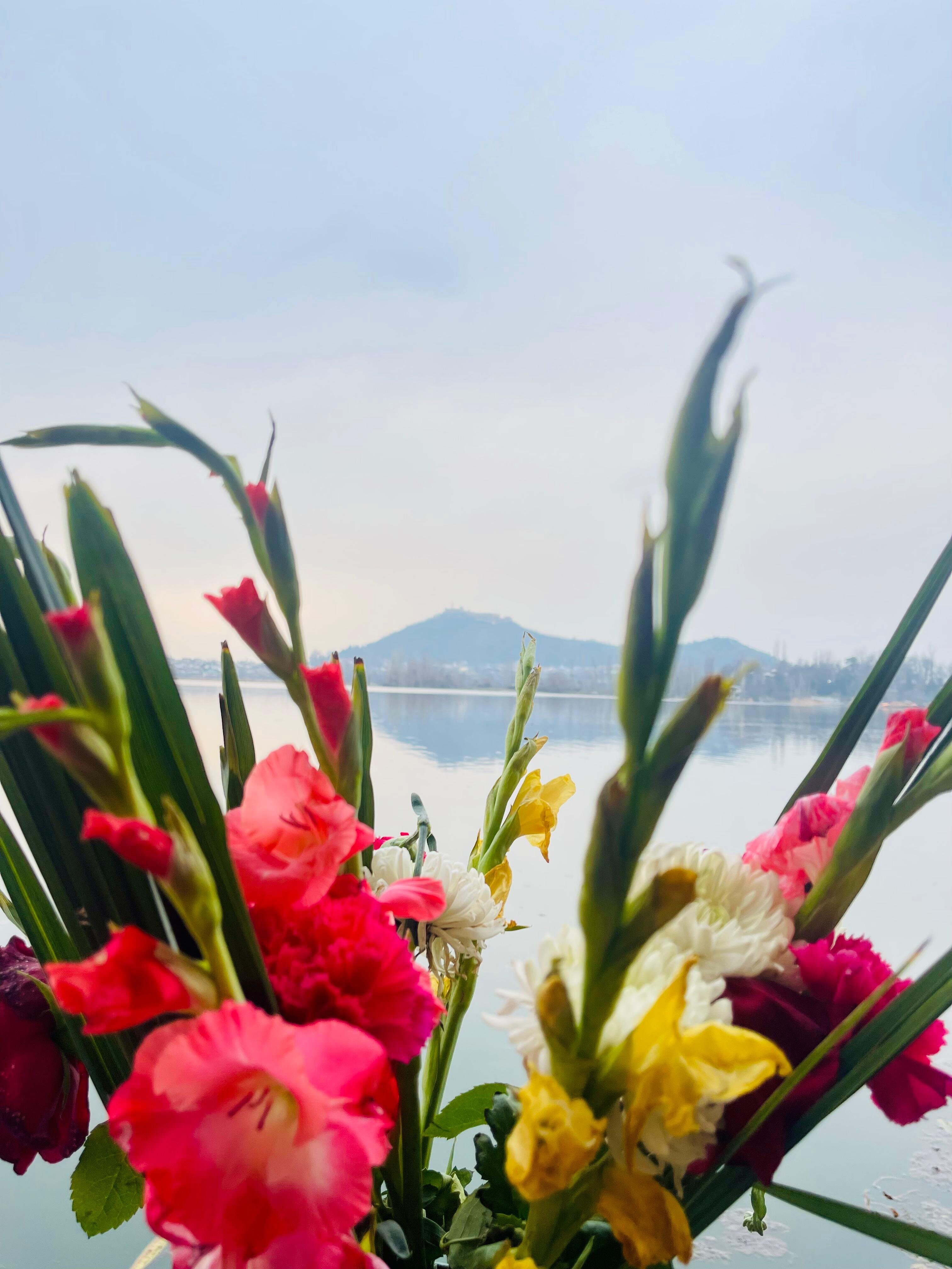 Dilshad Houseboats-酒店景观