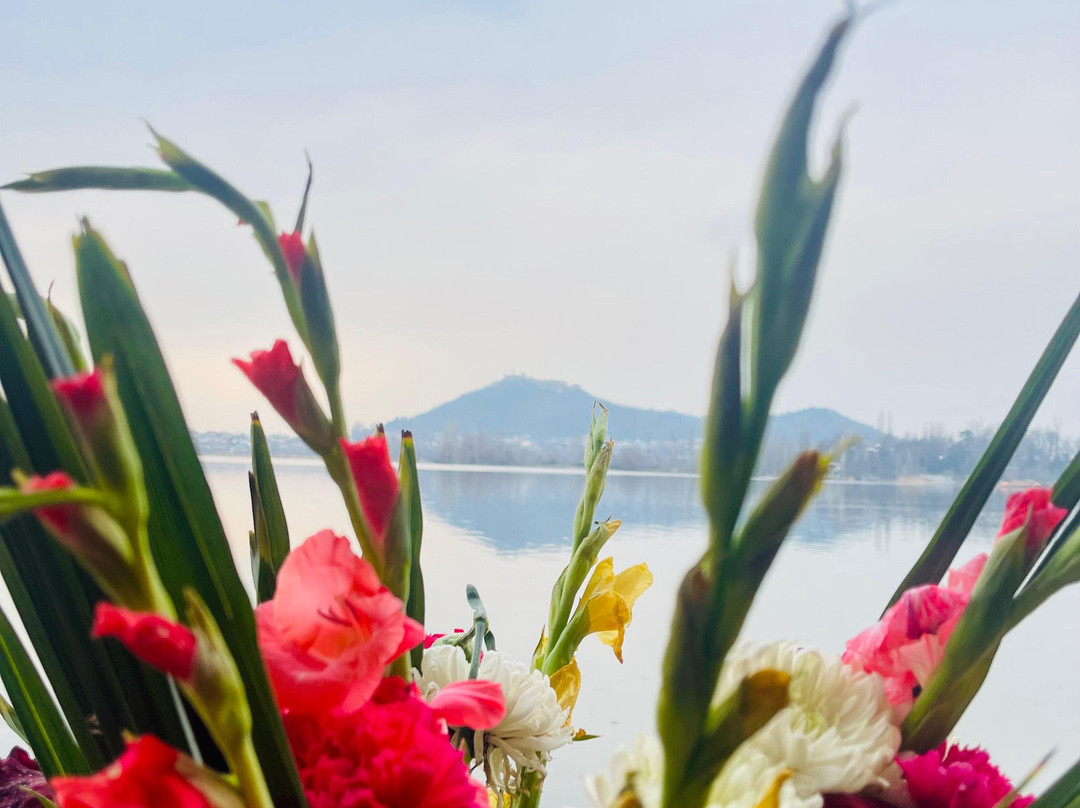 Dilshad Houseboats主图