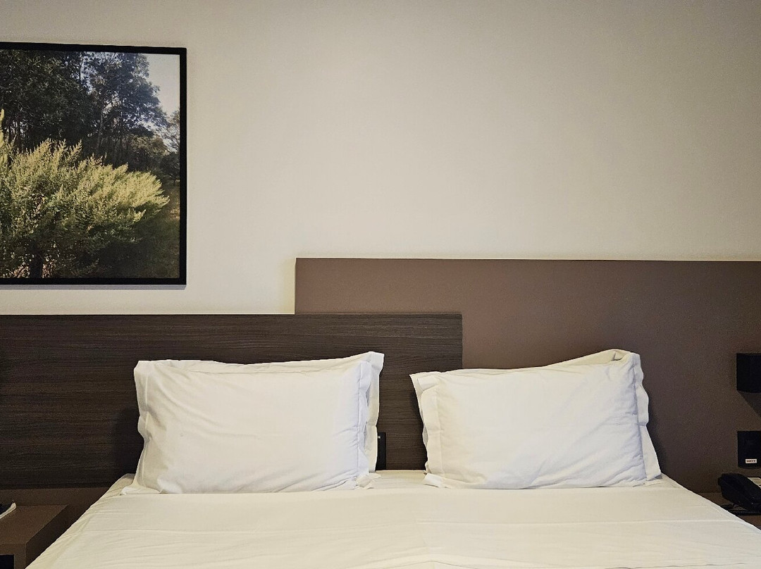 Figueiras Hotel & Eventos主图