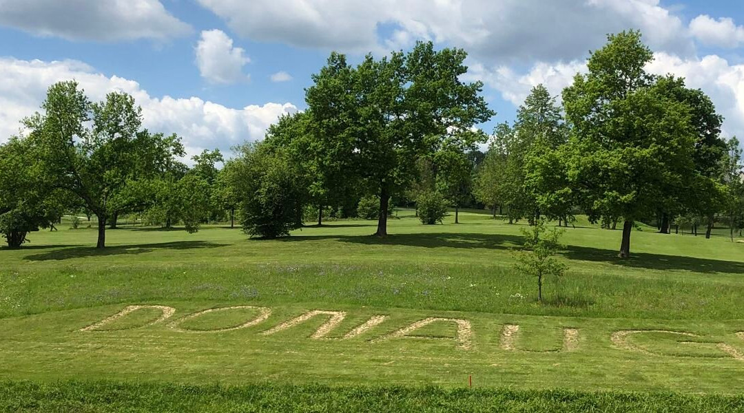 Golf- Und Landhotel Anetseder主图