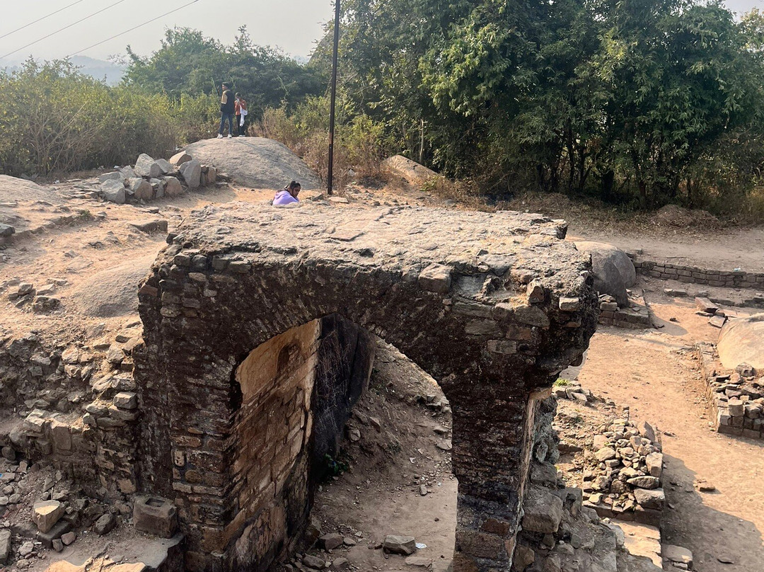 Madan Mahal Fort景点图片