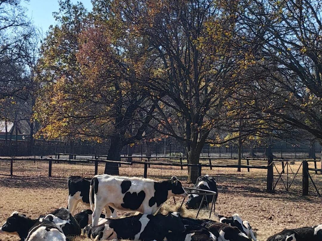 Irene Farm-三图里恩必去景点