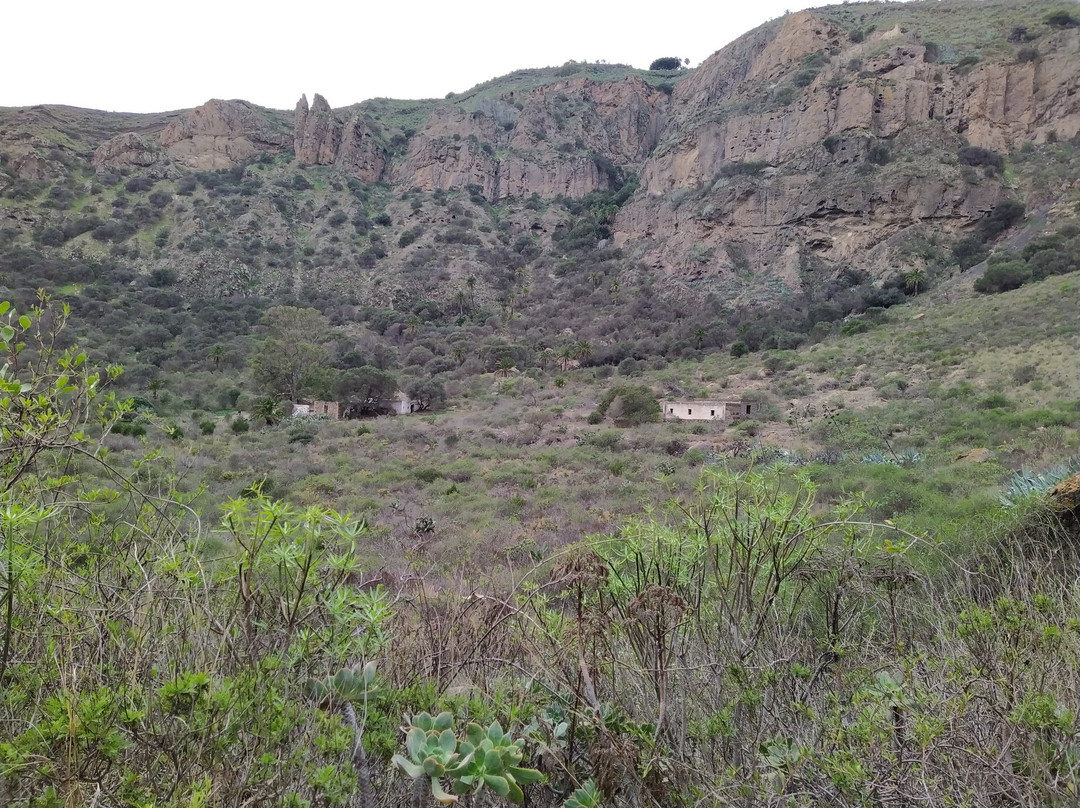 Caldera de Bandama景点图片