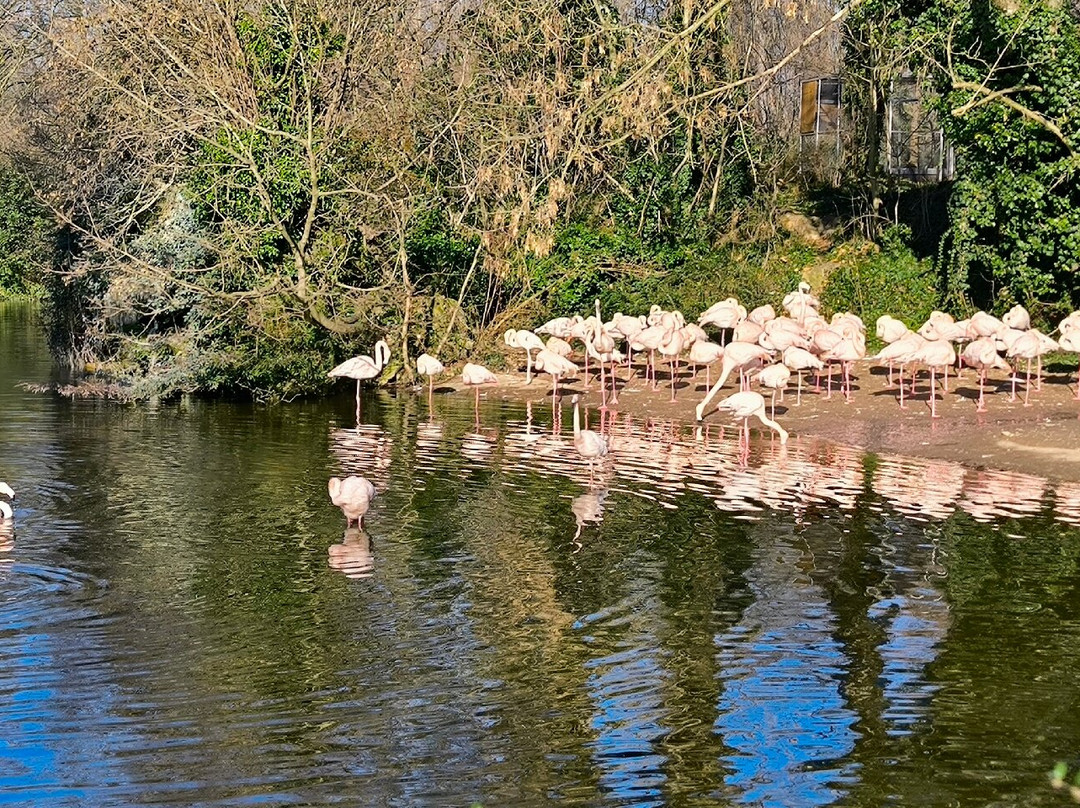 Zoo de Lyon-里昂必去景点
