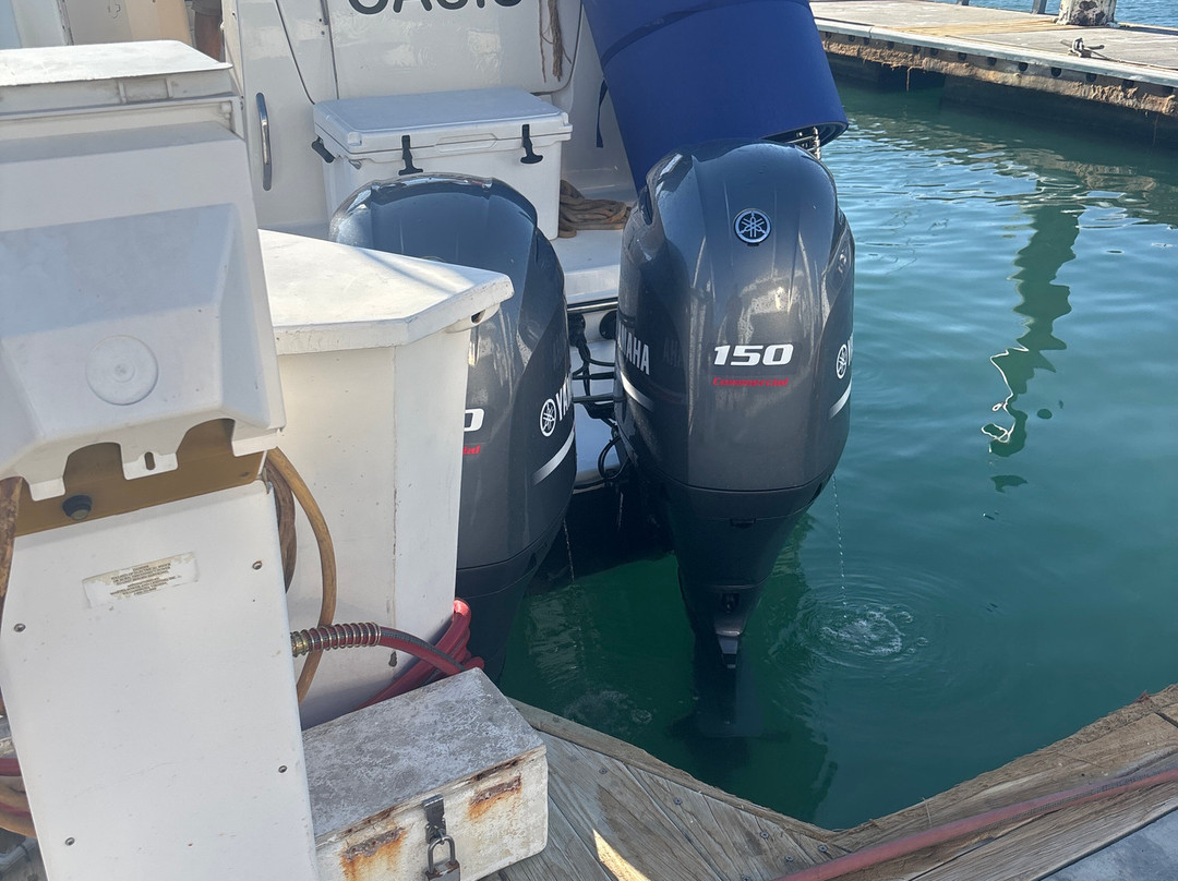 Papillon Yachts Rental Los Cabos-卡波圣卢卡斯必去景点