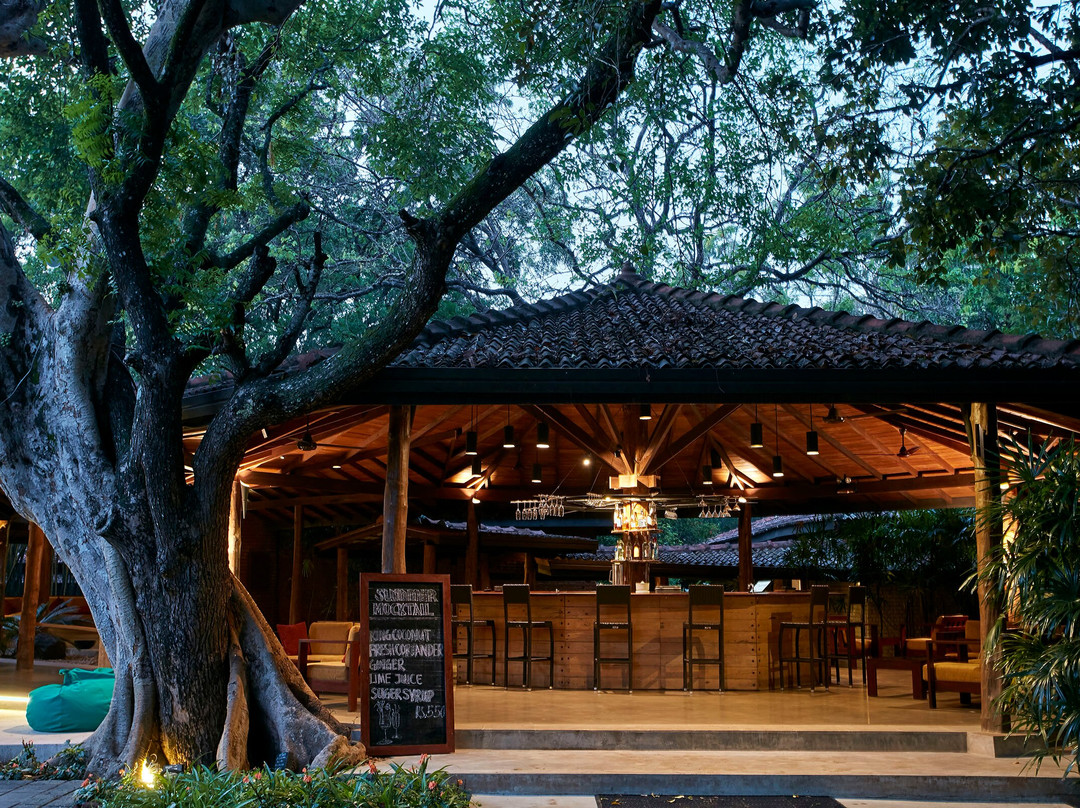 Monkey Bar At Hotel Sigiriya