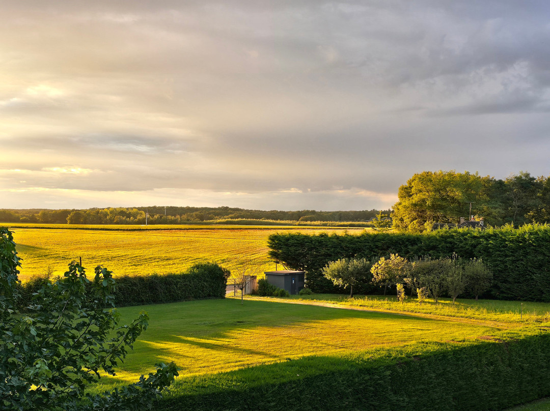 Les Hauts De Loire主图