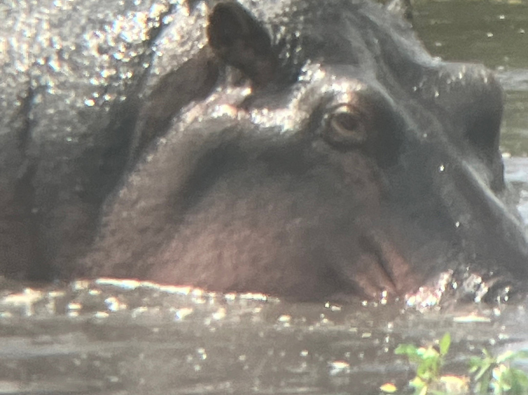 Evarest Adventures-阿鲁沙必去景点